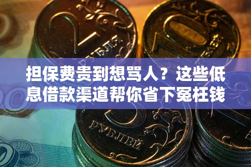 济南担保费贵到想骂人？这些低息借款渠道帮你省下冤枉钱