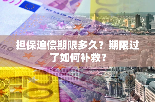 济南担保追偿期限多久？期限过了如何补救？